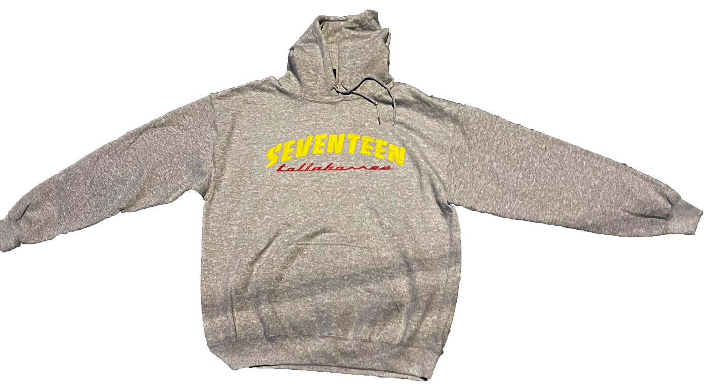 SKATER HOODIE