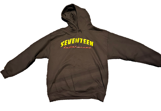 SKATER HOODIE